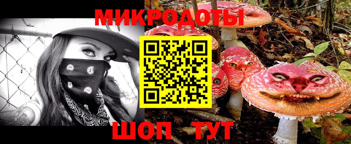 Галлюциногенные грибы мухоморы Будённовск