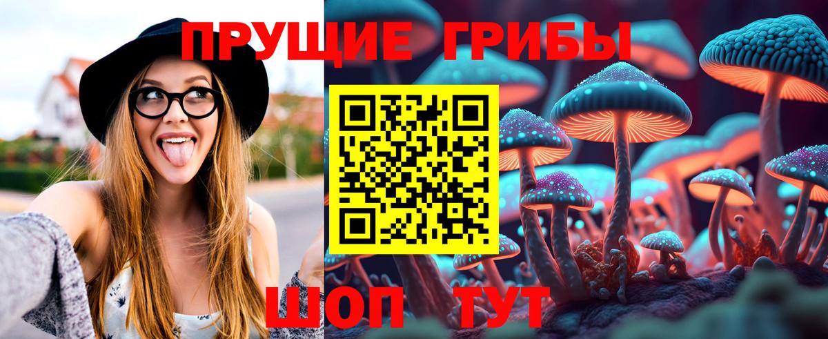 Будённовск  магазин продажи   Вход с VPN  Галлюциногенные грибы Psilocybine cubensis 